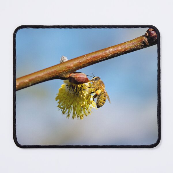 Item preview, Bee collecting designed and sold by beatbieri.ch.