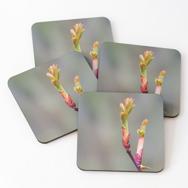 Item preview, Beauty of Thorns designed and sold by beatbieri.ch.