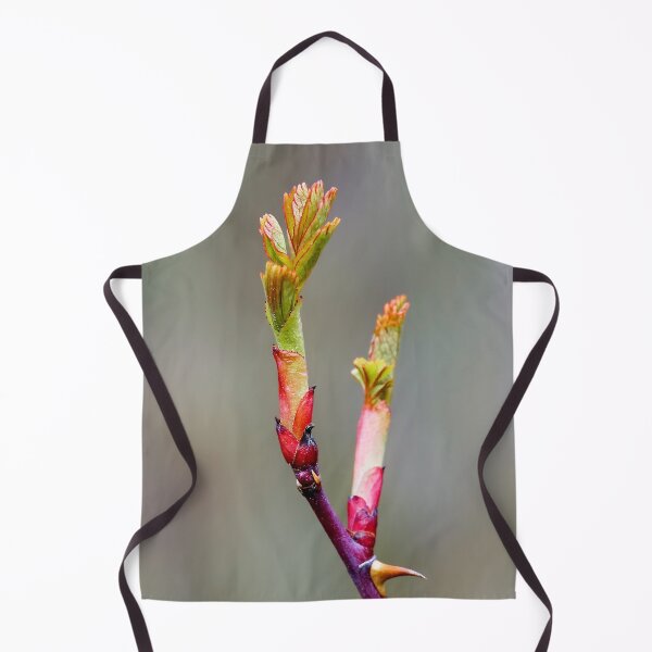 Item preview, Beauty of Thorns designed and sold by beatbieri.ch.