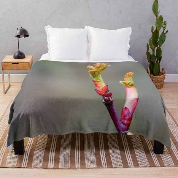 Item preview, Beauty of Thorns designed and sold by beatbieri.ch.