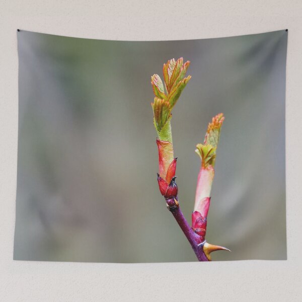 Item preview, Beauty of Thorns designed and sold by beatbieri.ch.