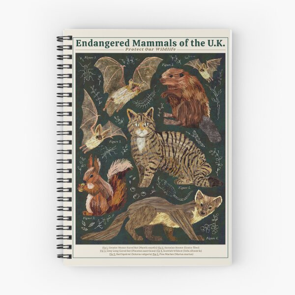 Item preview, Endangered Mammals of the U.K. designed and sold by ByLeesh.