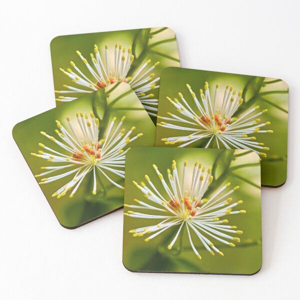 Item preview, Subtleties in nature designed and sold by beatbieri.ch.