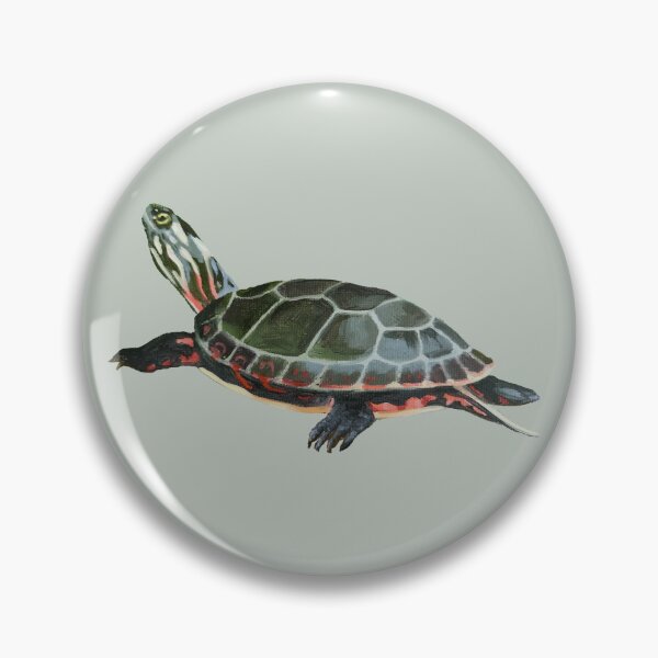Item preview, Midland Painted Turtle 3 painting (no background) designed and sold by Emily Bickell.