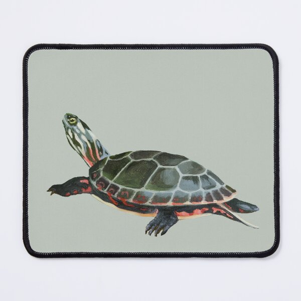 Item preview, Midland Painted Turtle 3 painting (no background) designed and sold by Emily Bickell.