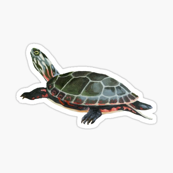 Item preview, Midland Painted Turtle 3 painting (no background) designed and sold by Emily Bickell.