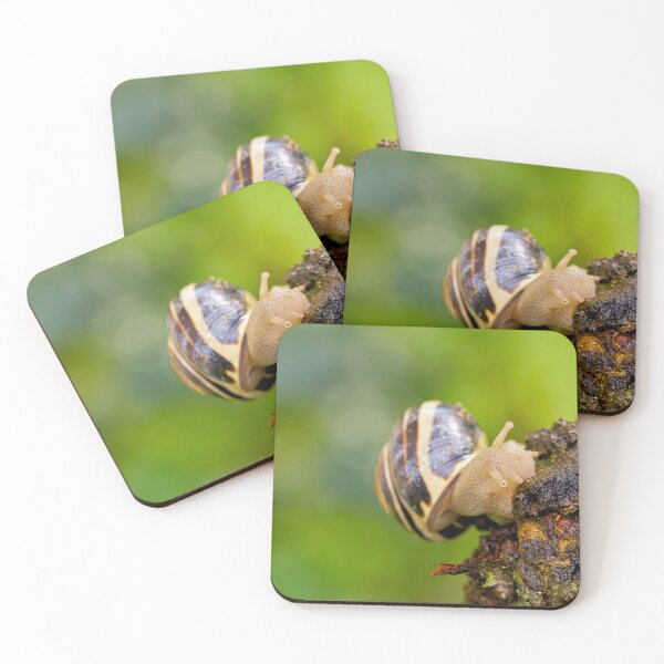 Item preview, House snail on the move designed and sold by beatbieri.ch.