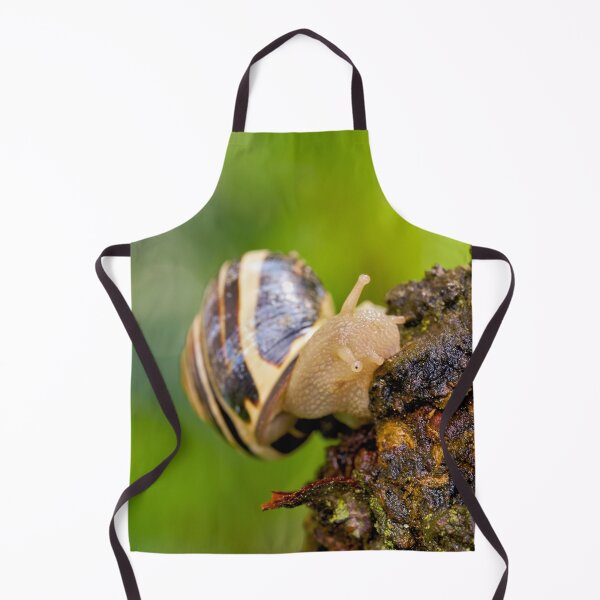 Item preview, House snail on the move designed and sold by beatbieri.ch.