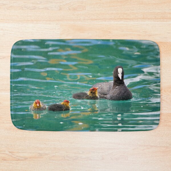 Item preview, Coot with young designed and sold by beatbieri.ch.
