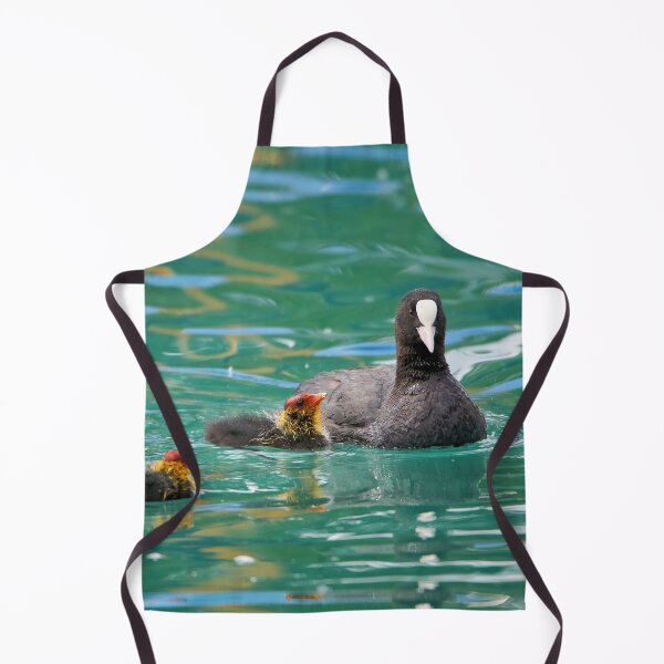Item preview, Coot with young designed and sold by beatbieri.ch.