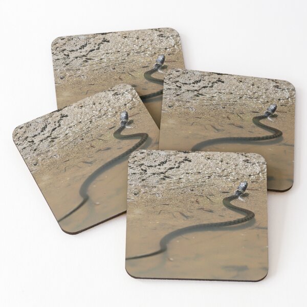 Item preview, Grass snake takes a bath designed and sold by beatbieri.ch.