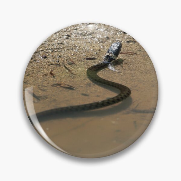 Item preview, Grass snake takes a bath designed and sold by beatbieri.ch.