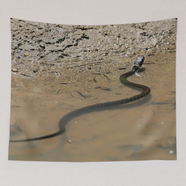 Item preview, Grass snake takes a bath designed and sold by beatbieri.ch.