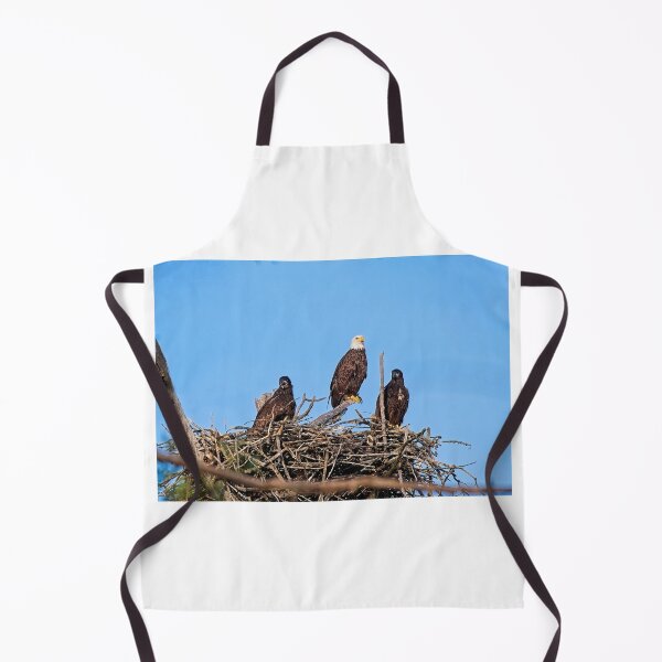 Item preview, Bald Eagle and Eaglets, UW Arboretum, Madison, WI 4 designed and sold by StevenRalserPhoto.