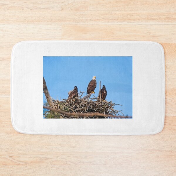 Item preview, Bald Eagle and Eaglets, UW Arboretum, Madison, WI 4 designed and sold by StevenRalserPhoto.