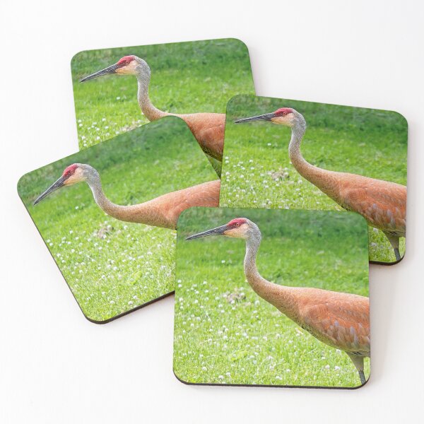Item preview, Sandhill Crane, Wisconsin  designed and sold by StevenRalserPhoto.