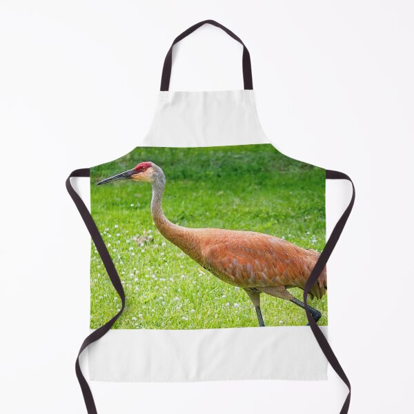Item preview, Sandhill Crane, Wisconsin  designed and sold by StevenRalserPhoto.