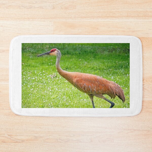Item preview, Sandhill Crane, Wisconsin  designed and sold by StevenRalserPhoto.