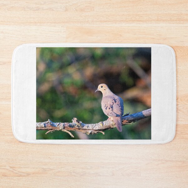 Item preview, Mourning Dove, UW Arboretum, Madison, WI designed and sold by StevenRalserPhoto.