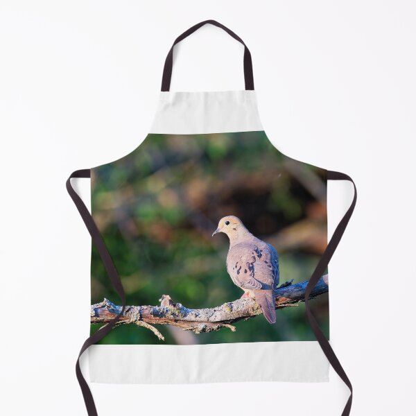 Item preview, Mourning Dove, UW Arboretum, Madison, WI designed and sold by StevenRalserPhoto.