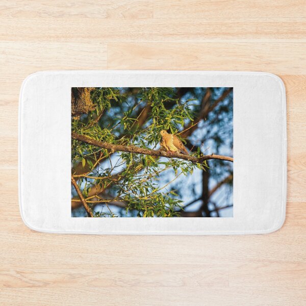Item preview, Mourning Dove, UW Arboretum, Madison, WI 2 designed and sold by StevenRalserPhoto.