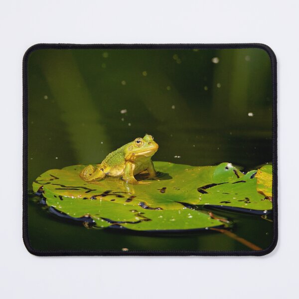 Item preview, Frog on lily pad designed and sold by beatbieri.ch.