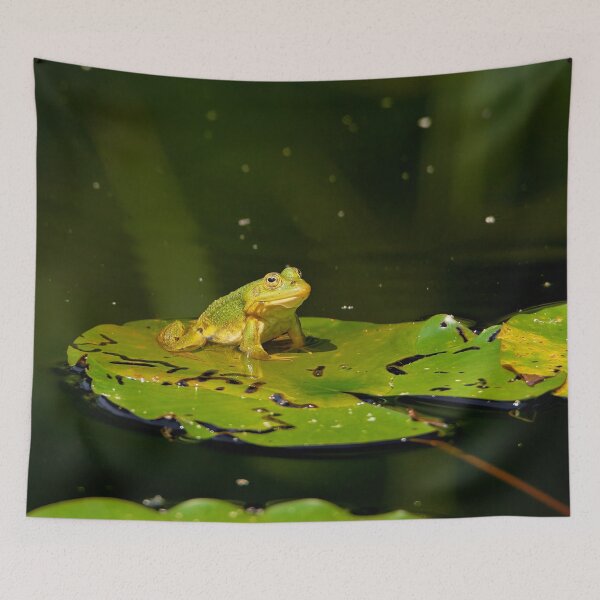 Item preview, Frog on lily pad designed and sold by beatbieri.ch.