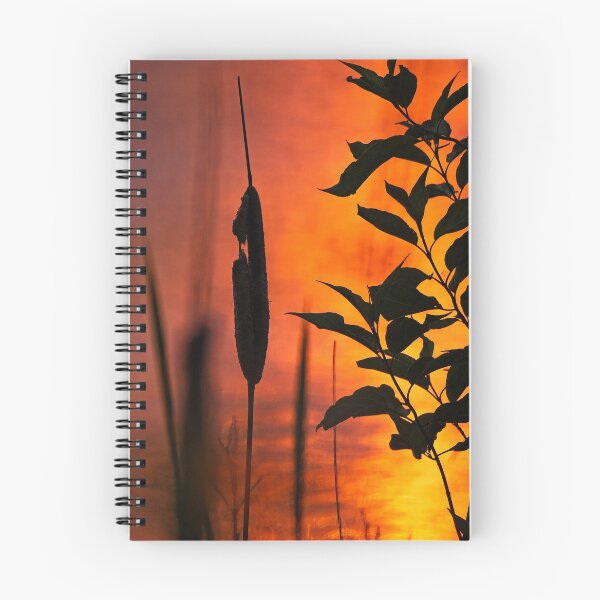 Item preview, Cattail Sunset, Lake Wingra, Madison, WI designed and sold by StevenRalserPhoto.