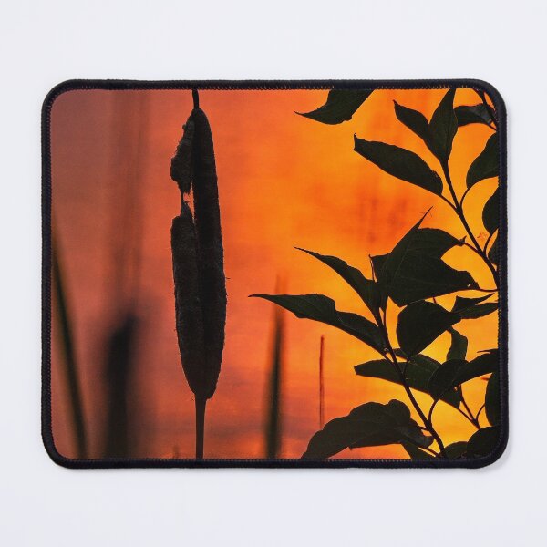 Item preview, Cattail Sunset, Lake Wingra, Madison, WI designed and sold by StevenRalserPhoto.