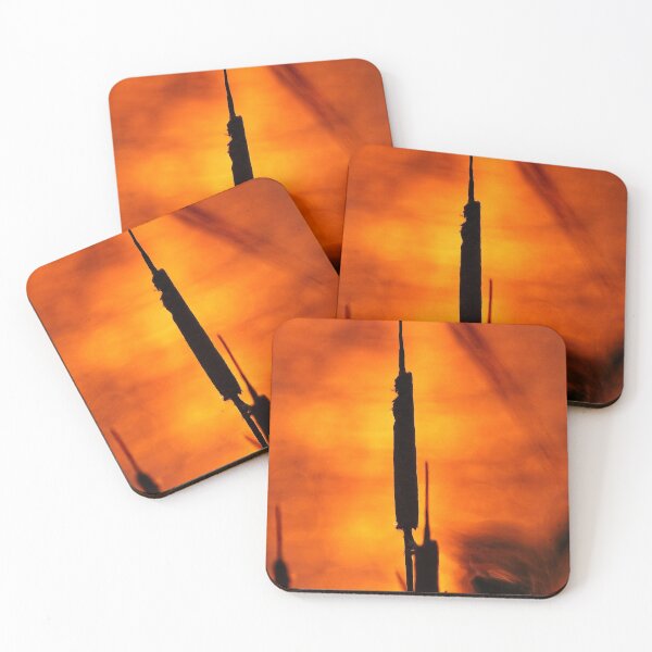 Item preview, Cattail Sunset, Lake Wingra, Madison, WI 2 designed and sold by StevenRalserPhoto.