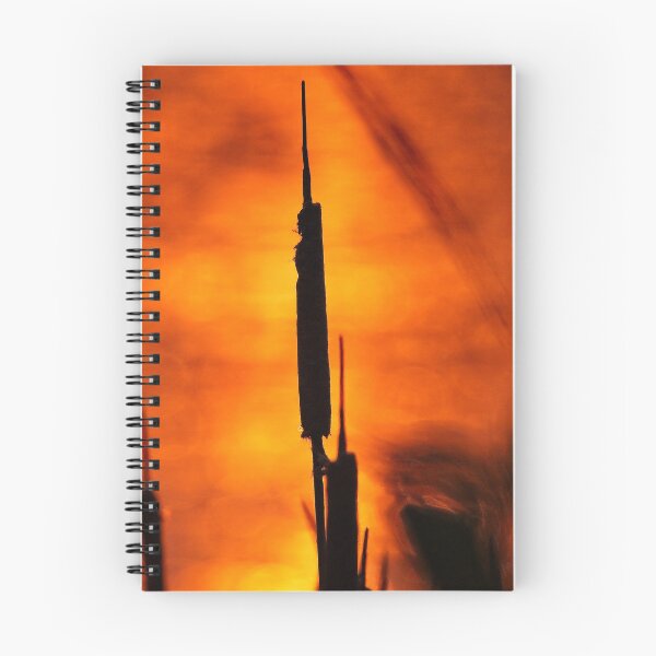 Item preview, Cattail Sunset, Lake Wingra, Madison, WI 2 designed and sold by StevenRalserPhoto.