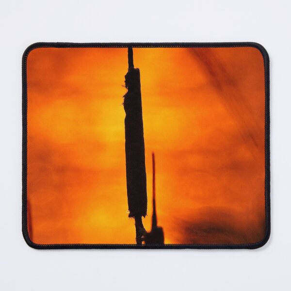 Item preview, Cattail Sunset, Lake Wingra, Madison, WI 2 designed and sold by StevenRalserPhoto.