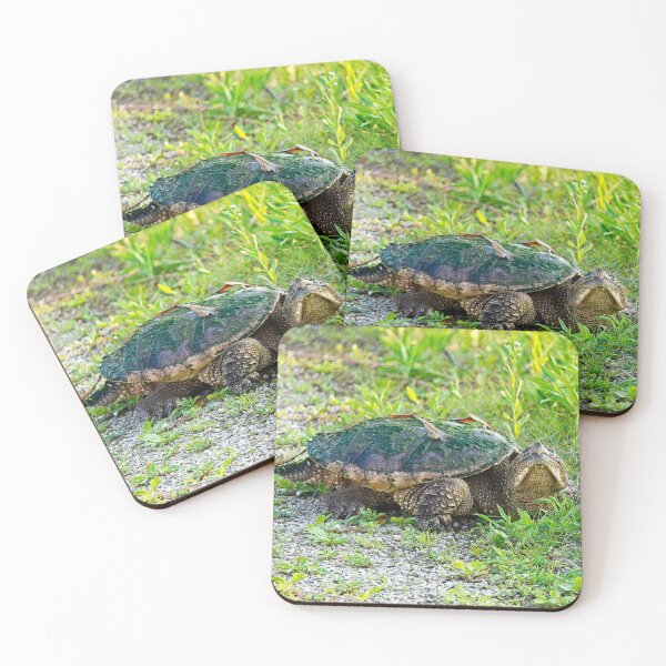 Item preview, Snapping Turtle, Madison, Wiscosnin 2 designed and sold by StevenRalserPhoto.