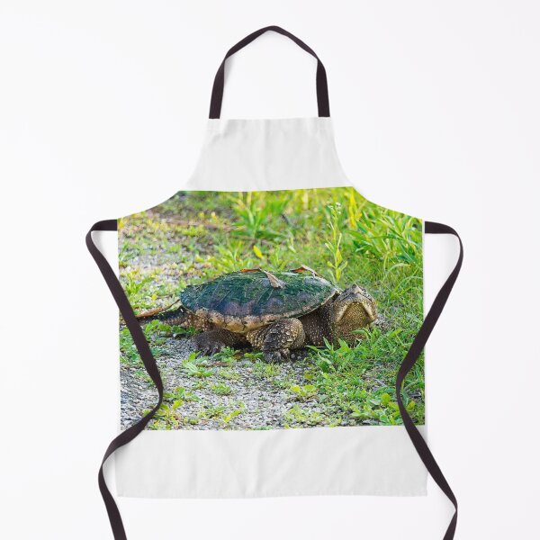 Item preview, Snapping Turtle, Madison, Wiscosnin 2 designed and sold by StevenRalserPhoto.