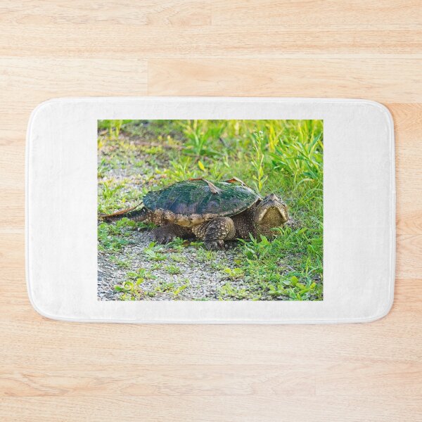Item preview, Snapping Turtle, Madison, Wiscosnin 2 designed and sold by StevenRalserPhoto.