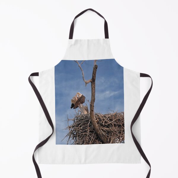Item preview, Bald Eagle Preening, UW Arboretum, Madison, WI designed and sold by StevenRalserPhoto.