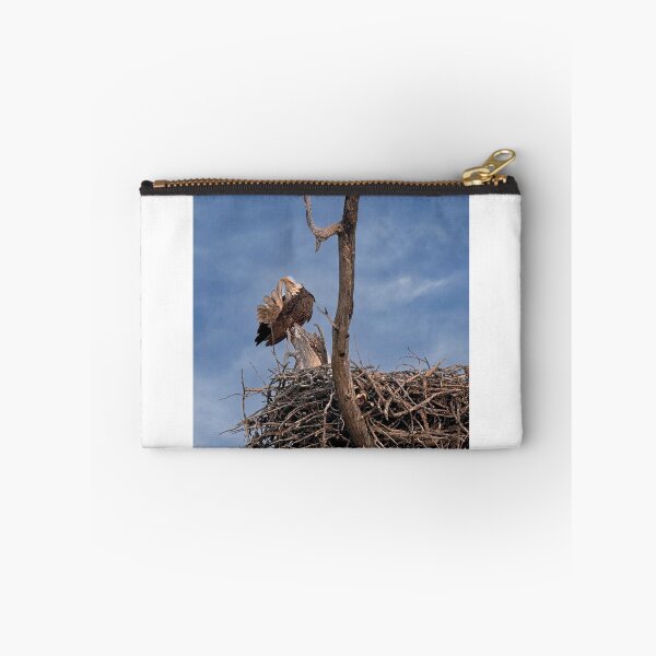 Item preview, Bald Eagle Preening, UW Arboretum, Madison, WI designed and sold by StevenRalserPhoto.