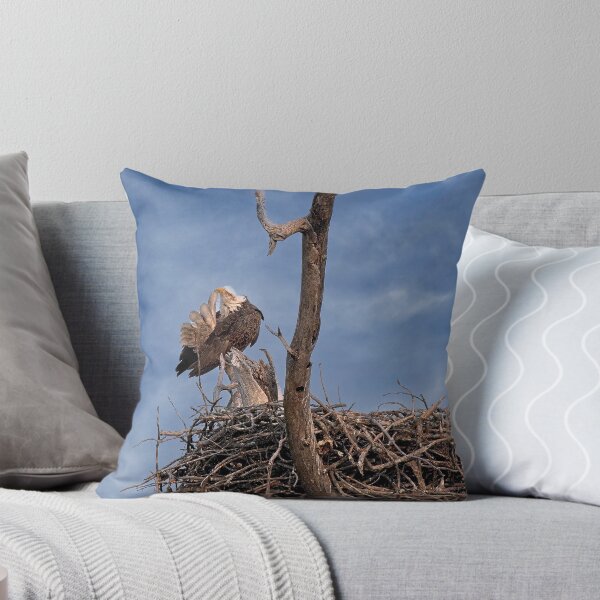Item preview, Bald Eagle Preening, UW Arboretum, Madison, WI designed and sold by StevenRalserPhoto.