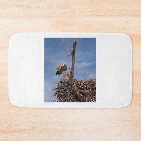 Item preview, Bald Eagle Preening, UW Arboretum, Madison, WI designed and sold by StevenRalserPhoto.