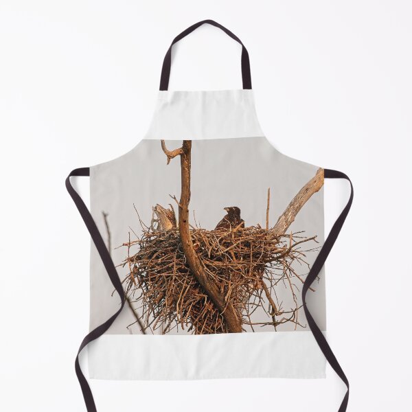 Item preview, Bald Eagle eaglets, UW Arboretum, Madison, WI. 2 designed and sold by StevenRalserPhoto.