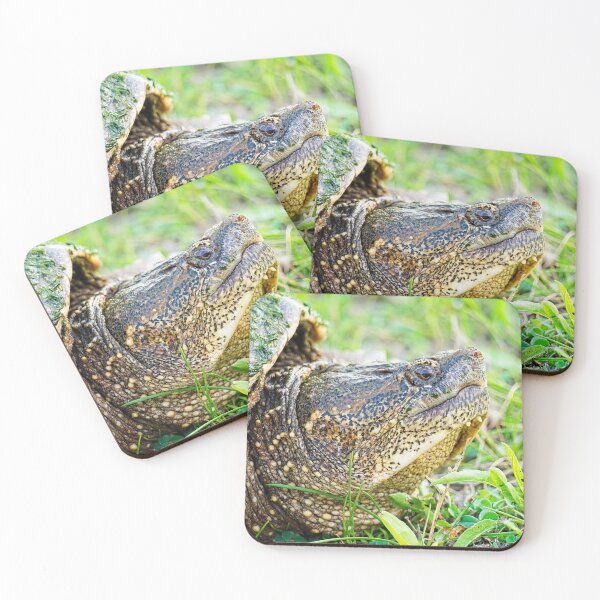 Item preview, Snapping Turtle, side portrait designed and sold by StevenRalserPhoto.