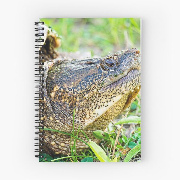 Artikelvorschau, Schnappschildkröte, Seitenporträt entworfen und verkauft von StevenRalserPhoto.
