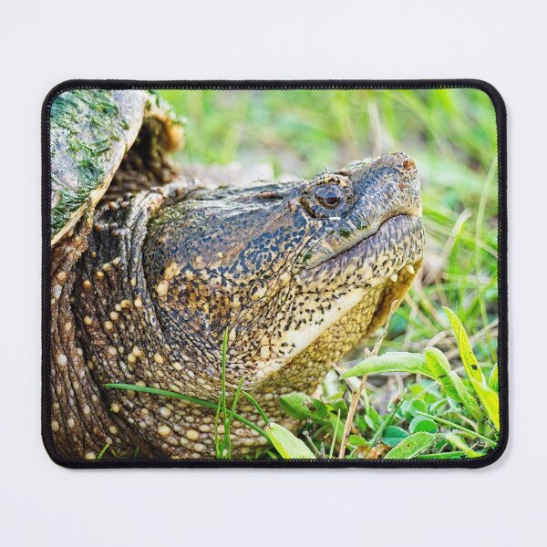 Item preview, Snapping Turtle, side portrait designed and sold by StevenRalserPhoto.