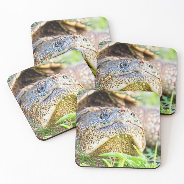 Item preview, Snapping Turtle, Madison, Wiscosnin designed and sold by StevenRalserPhoto.
