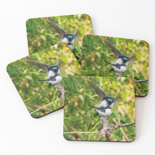 Item preview, Tree Swallows mating, Madison, Wisconsin 4 designed and sold by StevenRalserPhoto.