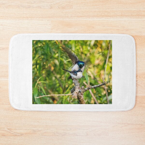 Item preview, Tree Swallows mating, Madison, Wisconsin 4 designed and sold by StevenRalserPhoto.