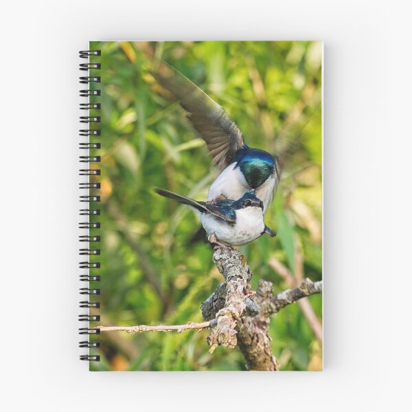 Item preview, Tree Swallows mating, Madison, Wisconsin 4 designed and sold by StevenRalserPhoto.