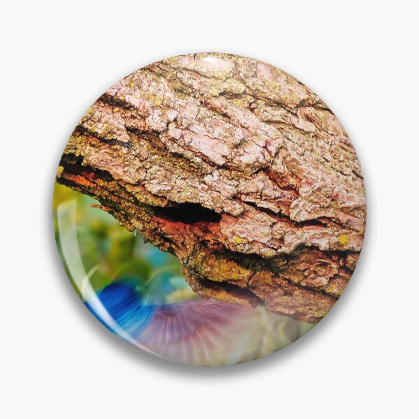 Item preview, Tree swallow flying into nest, UW Arboretum, Madison, WI. designed and sold by StevenRalserPhoto.