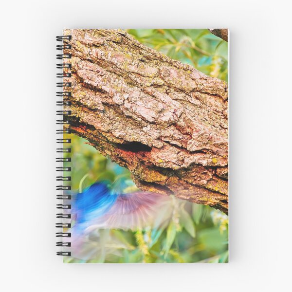 Item preview, Tree swallow flying into nest, UW Arboretum, Madison, WI. designed and sold by StevenRalserPhoto.