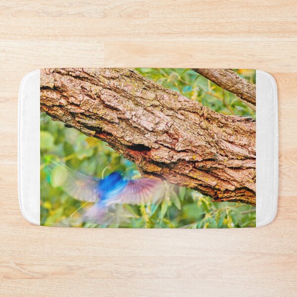 Item preview, Tree swallow flying into nest, UW Arboretum, Madison, WI. designed and sold by StevenRalserPhoto.